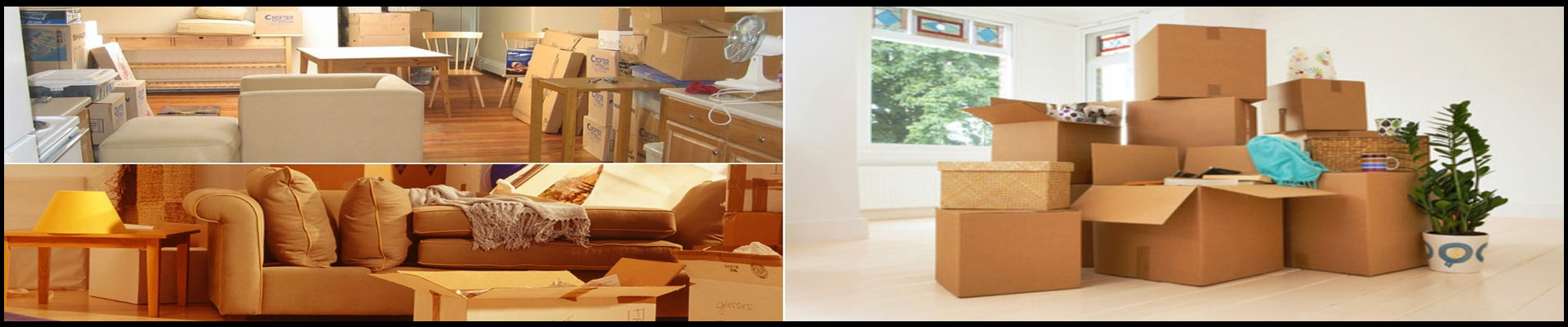 Packers And Movers Noida Sector 155